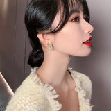 Zircon Circle Clasp Pendant Earrings For Woman