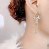 Zircon Flower Beads Tassel Long Earrings For Women
