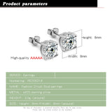 Zircon Stud 925 Silver Stud Earrings for Women
