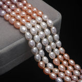 Colorful Freshwater Pearl Bracelet Rice Shape Women Bracelet