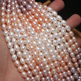 Colorful Freshwater Pearl Bracelet Rice Shape Women Bracelet