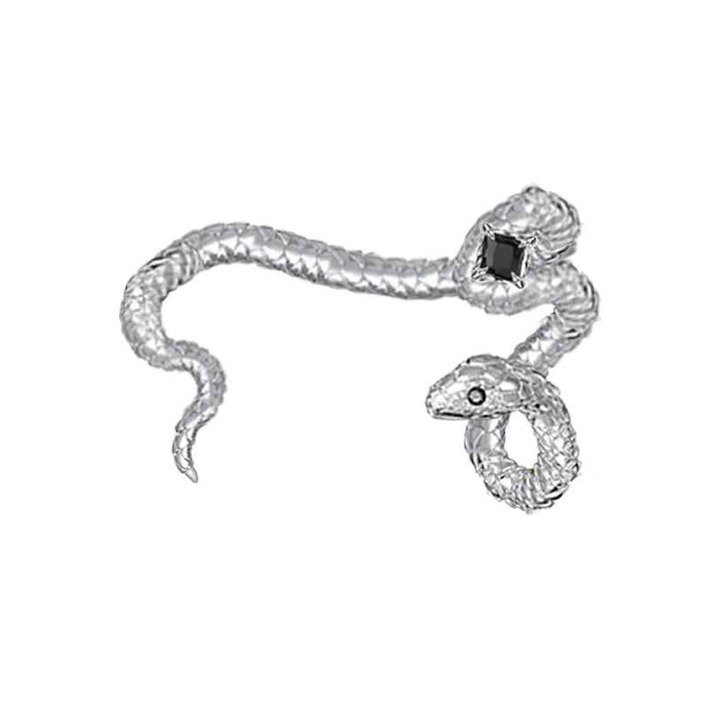 Personality Snake Earrings For Women Jewelry High Brass Earcuff Earrings