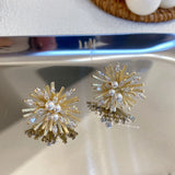 Zircon Flower Stud Earrings Pearl Statement Oorbellen Jewelry