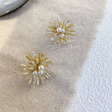 Zircon Flower Stud Earrings Pearl Statement Oorbellen Jewelry