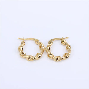 Twisted Big Hoop Earrings Women LH30