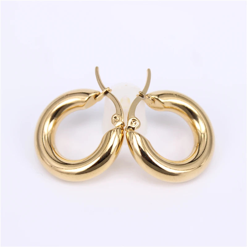 316L stainless steel earrings 20-30mm fine polished smooth LH327