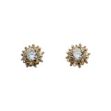 925 Sterling Silver Zircon Flower Earrings for Women