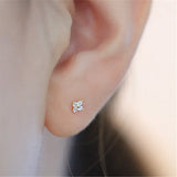 925 Silver Zircon Small Flowers Stud Earrings For Women