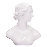 Mannequin Jewelry Display Bust Chain Holder for Shop Counter