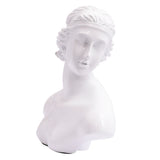 Mannequin Jewelry Display Bust Chain Holder for Shop Counter