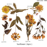 Maple Leaf Sunflower Rose Wheat Daisy Resin Stickers DIY Mold Filler