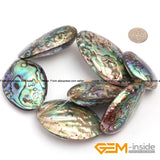 Abalone Shell Natural Shell Beads for Jewelry Making 2 Pcs