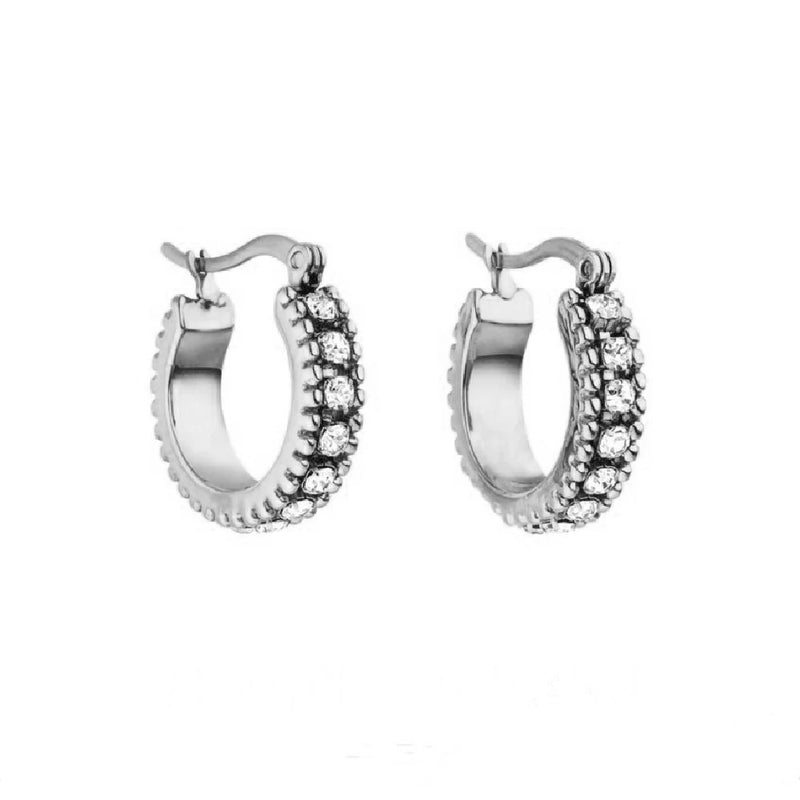 Mavis Hare Stainless Steel Pohaku Crystal Drop Earrings