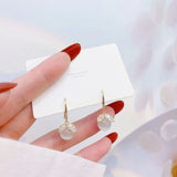 Micro Inlaid Zircon Fish Tail Earrings 14k Plated