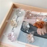 Sweet Acrylic Butterfly Hair Claw 2pcs Women Hair Accessories