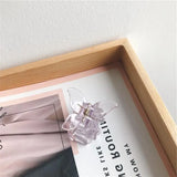 Sweet Acrylic Butterfly Hair Claw 2pcs Women Hair Accessories