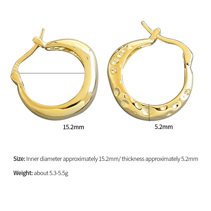 925 Sterling Silver Vintage Ellipse Earrings French Punk Hip-Hop Accessories