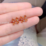 925 Silver Crystal Earrings Ladies Hot Recommendation