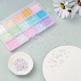 Mixed Glass Seed Beads Ceylon Round Pony Beads Mini Spacer Czech Beads