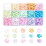Mixed Glass Seed Beads Ceylon Round Pony Beads Mini Spacer Czech Beads