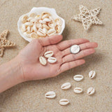 Mixed Spiral Shell Beads Cowrie Shells PapayaWhip 500g
