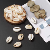 Mixed Spiral Shell Beads Cowrie Shells PapayaWhip 500g