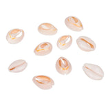 Mixed Spiral Shell Beads Cowrie Shells PapayaWhip 500g