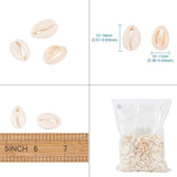 Mixed Spiral Shell Beads Cowrie Shells PapayaWhip 500g