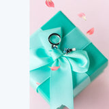 925 Silver Stars Crystal Stud Earrings Women