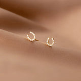 925 Silver Plated Crystal Horseshoe Stud Earrings for Women