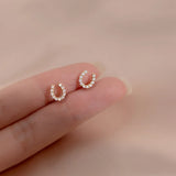 925 Silver Plated Crystal Horseshoe Stud Earrings for Women