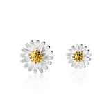 MloveAcc 925 Silver Daisy Flower Stud Earrings for Women