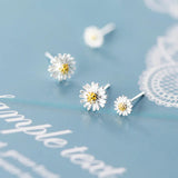 MloveAcc 925 Silver Daisy Flower Stud Earrings for Women