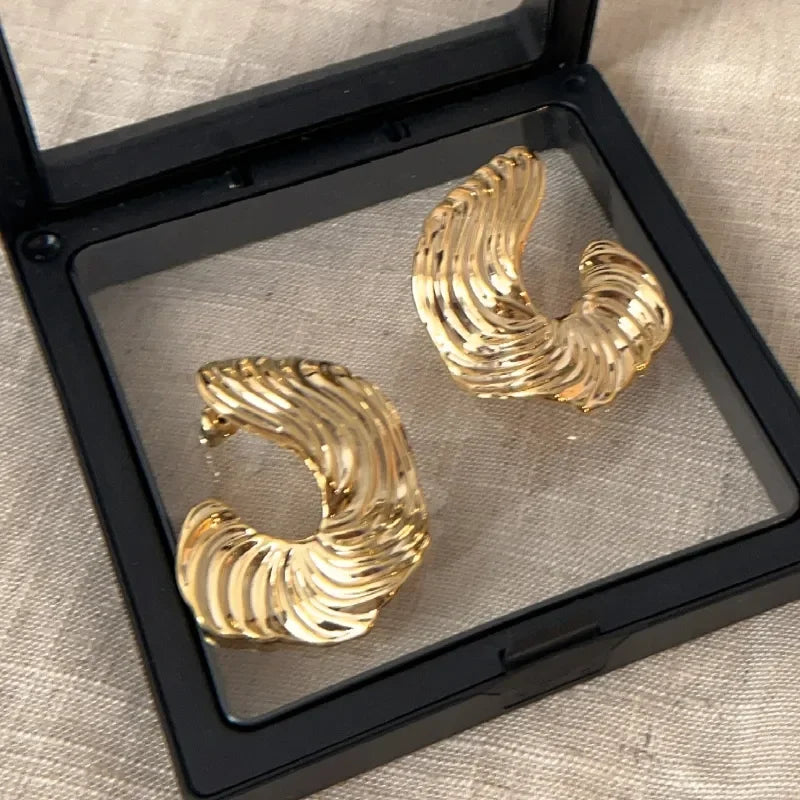 925 Silver Geometric Texture Earrings For Women