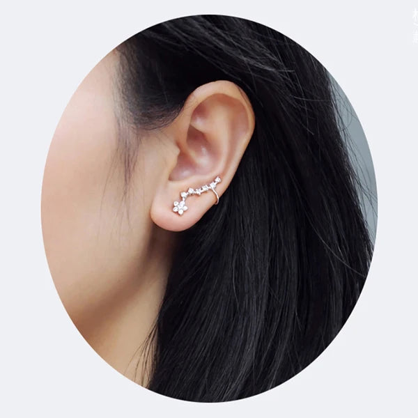 Zircon Sterling Silver Earrings Wedding Gift Fine Jewelry