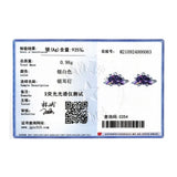 Stegosaurus Stud Earrings Purple Crystal Dinosaur Earring for Women & Girls