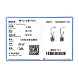 925 Silver Rainbow Zirconia Drop Earrings Dangle Anniversary Fine Jewelry