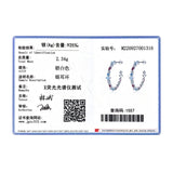 925 Silver Rainbow Zirconia Stud Earrings for Women Party Gift Jewelry