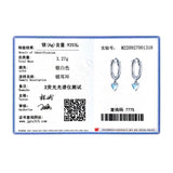 925 Silver Moonstone Heart Hoop Earrings for Women