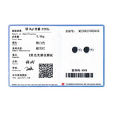 Agate Stud Earrings 925 Silver Platinum Plated Hypoallergenic