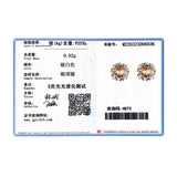 Champagne Zirconia Stud Earrings 925 Sterling Silver Hypoallergenic