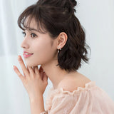 925 Silver Stars Hearts Swing Zircon Earrings