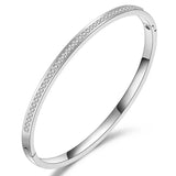 Stainless Steel Bangles & Crystal Charm Bracelets for Women