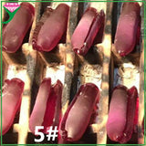 5# Rose Red Synthetic Corundum Rough 0.1kg for Jewelry Making