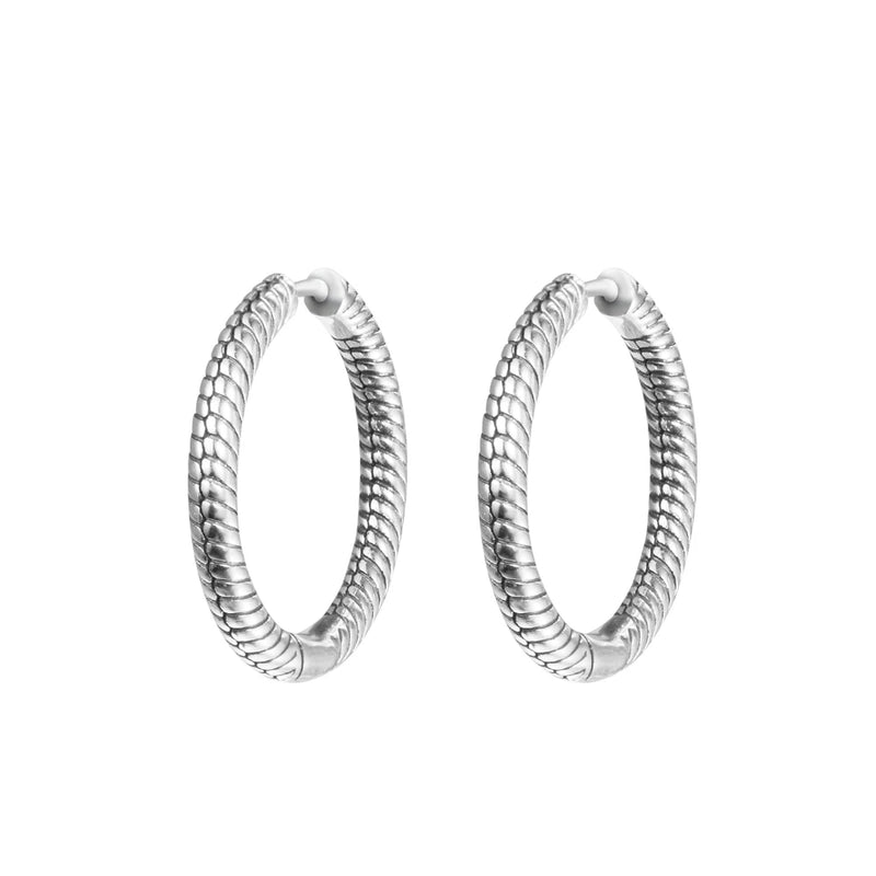 Moments Charm Hoop Earrings Sterling Silver Jewelry Earrings For Woman