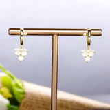925 Silver Opal Pendant Earrings for Women