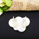 925 Silver Zircon Piercing Earrings Romantic Jewelry