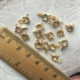 Small Lobster Jump Rings - Assorted Colors with Extention Chain