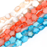 Multicolor Stars Shell Beads Mother of Pearl Spacer Beads 6mm