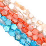 Multicolor Stars Shell Beads Mother of Pearl Spacer Beads 6mm